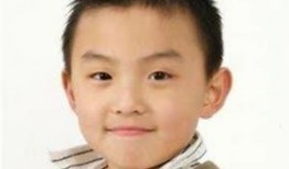 郑伟爆料视频大全下载,揭秘背后真相与精彩瞬间