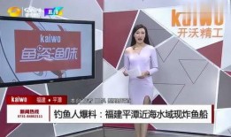 钓鱼爆料视频最新版下载,揭秘钓鱼技巧与安全防范攻略